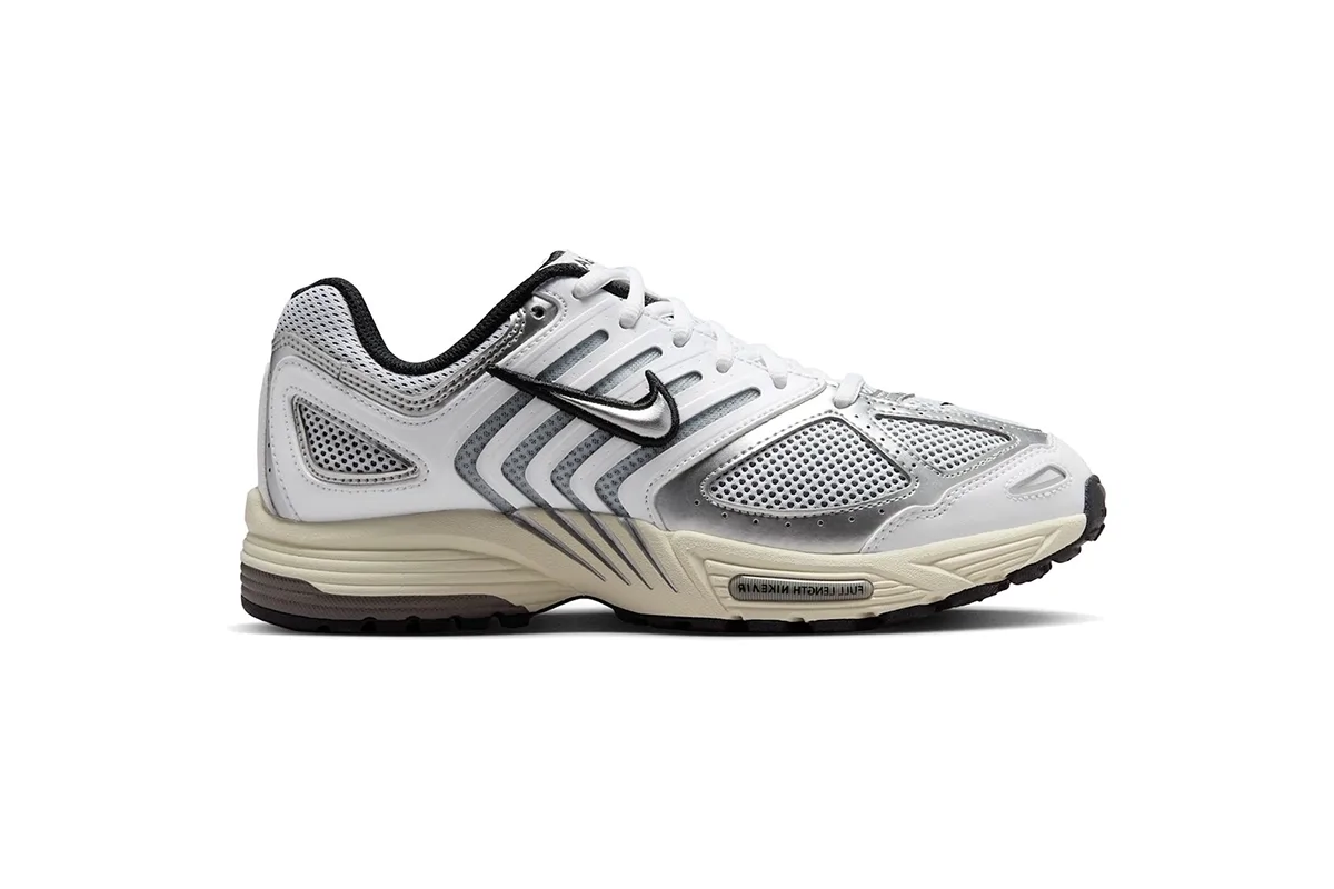 Nike Air Pegasus 2005