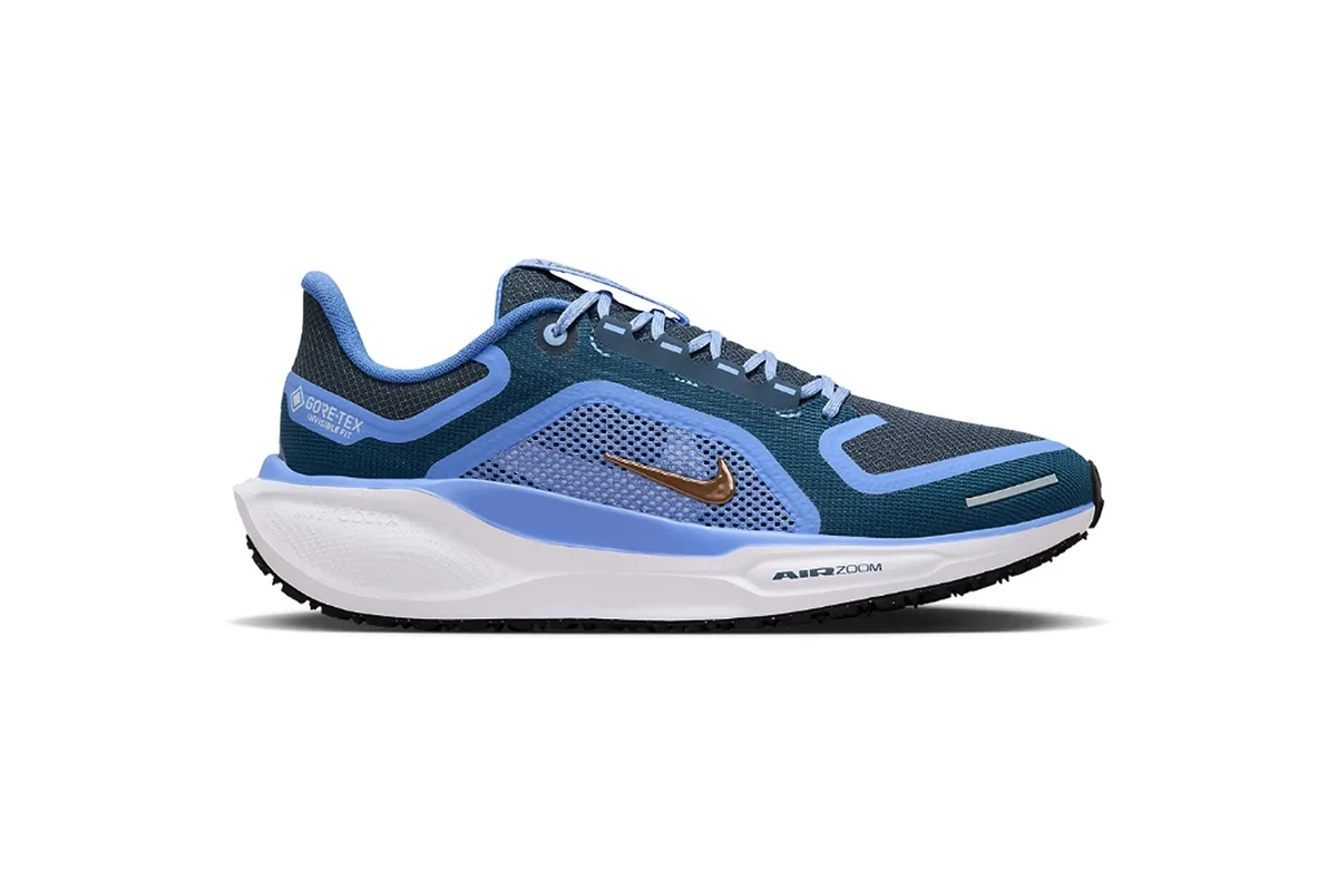 Nike Air Zoom Pegasus 41 Gore-Tex